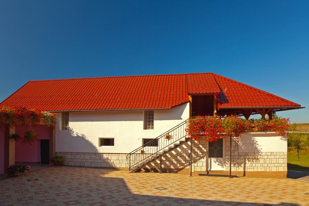 Apartment Jakovljevic Gornji Vaganac Pokoj fotografie