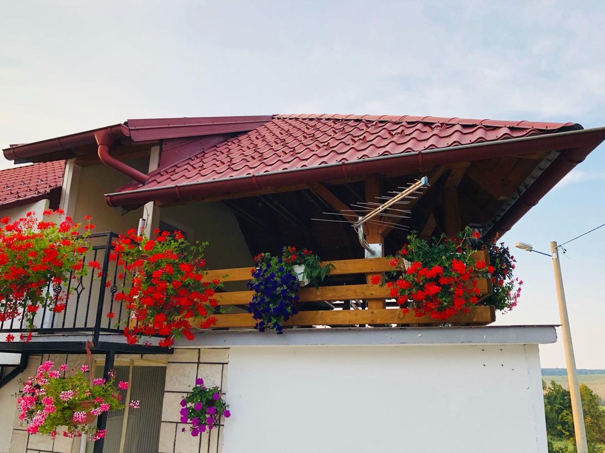 Apartment Jakovljevic Gornji Vaganac Exteriér fotografie